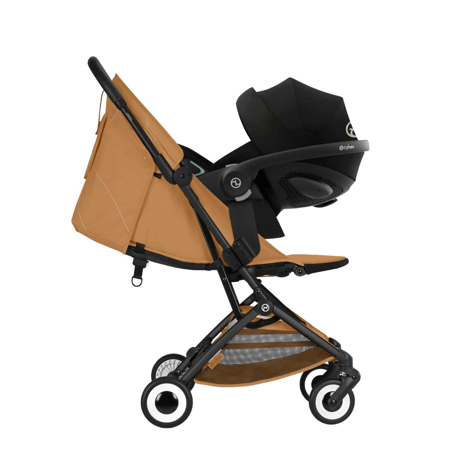 Orfeo BLK - Cinnamon Yellow miniatura 2
