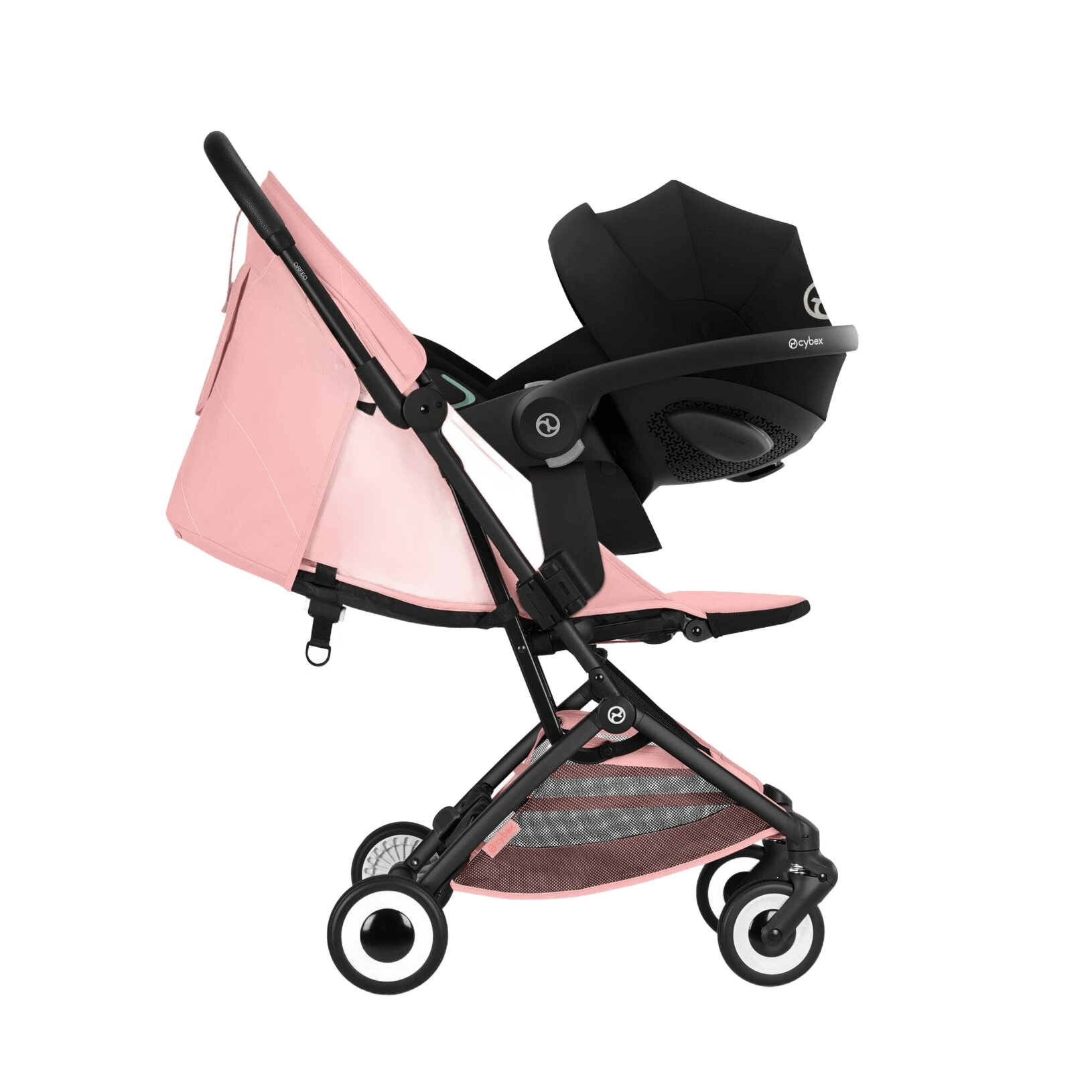 Orfeo BLK - Candy Pink miniatura 2